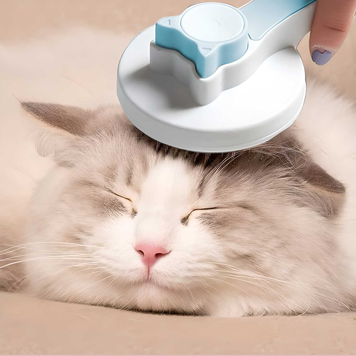 Grooming
